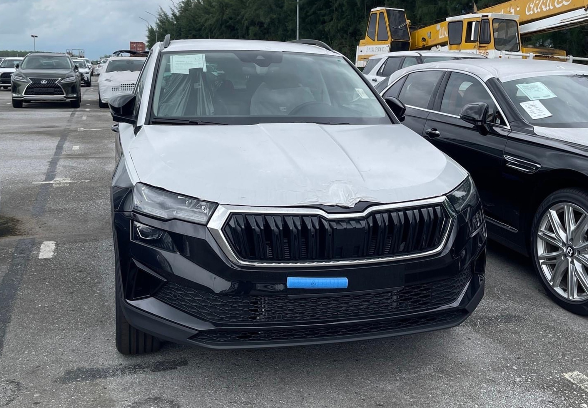 Đoán giá bộ đôi Skoda sắp ra mắt Việt Nam: Lỡ cỡ hay phổ thông để chiếm thị phần của xe Hàn, Nhật? - Ảnh 2.