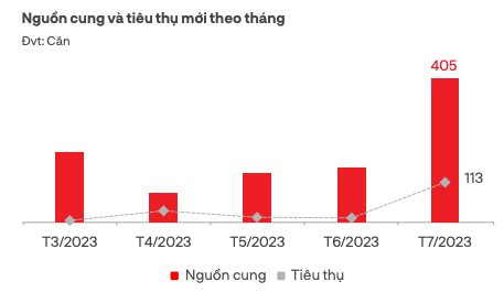 Cả nước chỉ có 1 căn biệt thự nghỉ dưỡng được giao dịch thành công trong tháng 7 - Ảnh 4.