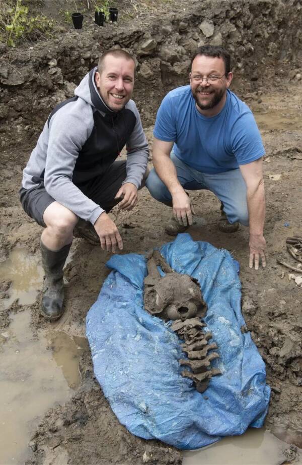 Một người đàn ông Scotland tìm thấy xương cá heo 8.000 năm tuổi khi đang đào bể bơi cho các con của mình - Ảnh 3.