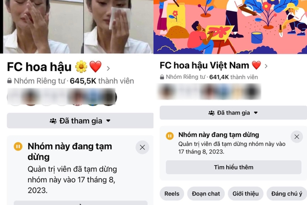  Hội antifan Hoa hậu Ý Nhi hơn 600 nghìn thành viên bất ngờ đổi tên - Ảnh 1.