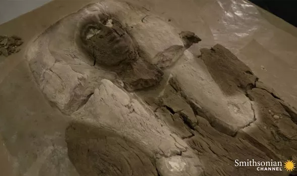 Bí ẩn xác ướp của người phụ nữ bị nhầm là pharaoh Ai Cập - Ảnh 4.