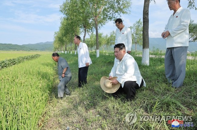 Ông Kim Jong-un lệnh cho máy bay quân sự phun thuốc bảo vệ mùa màng - Ảnh 3.