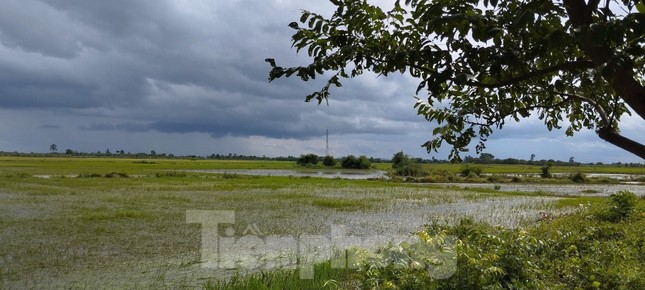 Đường huyết mạch nứt đôi, khách đi ăn cưới nín thở qua đường bằng gầu múc - Ảnh 5.