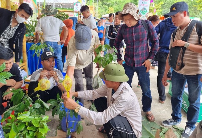 Tận thấy phiên chợ tiền tỷ của các đại gia - Ảnh 1.