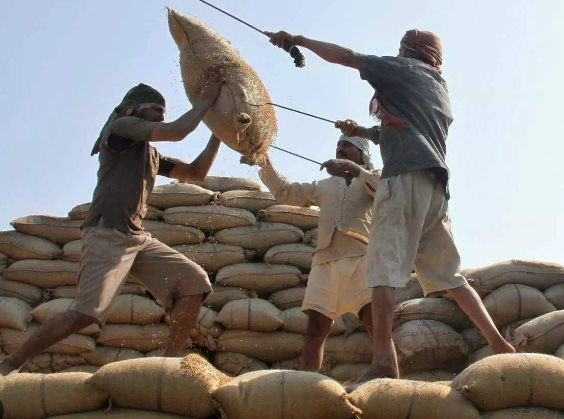 Thị trường gạo đón nhận thêm cú sốc: Một quốc gia châu Á gặp khủng hoảng về nguồn cung, nắm giữ sản lượng gần 22 triệu tấn trong năm qua - Ảnh 1.