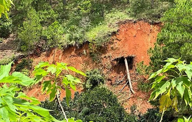 Đà Lạt cấp bách kiểm tra đèo Mimosa và chống sạt lở đường Hoa Đỗ Quyên - Ảnh 1.