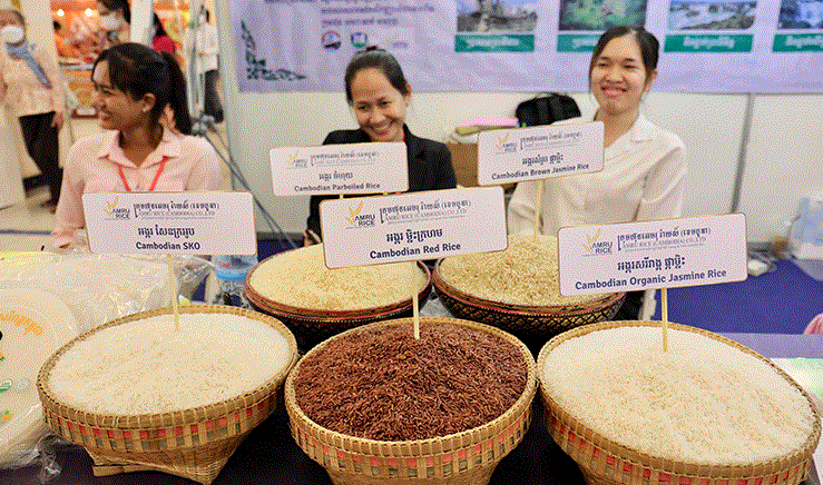 Quốc gia sát sườn Việt Nam với giấc mơ trở thành ‘vựa gạo của ASEAN’ - Ảnh 2.