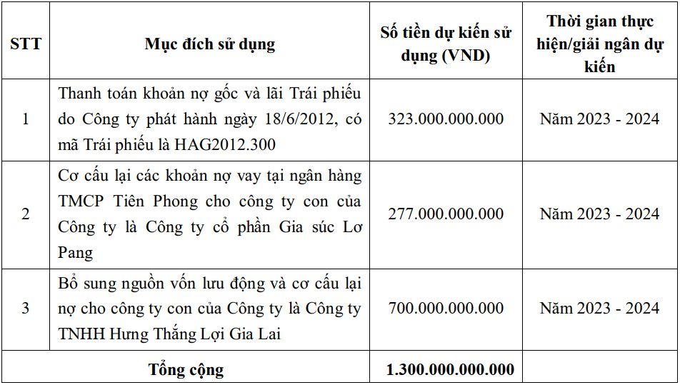 Hoàng Anh Gia Lai muốn bán riêng lẻ 130 triệu cổ phiếu, thu về 1.300 tỷ đồng để trả nợ - Ảnh 2.