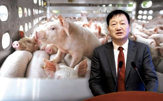 Vua lợn Trung Quốc: Từ trang trại 22 con tới tập đoàn cung cấp thịt cho 10% thế giới, mỗi năm bán hơn 60 triệu con lợn, vụt trở thành tỷ phú - Ảnh 1.