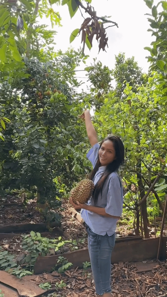 Khu vườn nhà H’Hen Niê hút gần 10 triệu lượt xem: Rau xanh trái ngọt sum suê, netizen tấm tắc “đỡ tốn tiền đi chợ” - Ảnh 7.