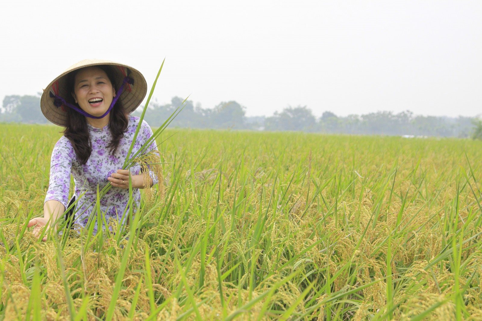 Giá xuất khẩu một mặt hàng của Việt Nam đang cao nhất thế giới, 7 tháng đã thu về 2,6 tỷ USD - Ảnh 1.