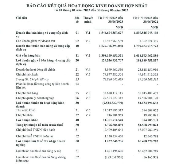 Đối thủ xe điện của Vinfast báo lỗ sau thuế quý II, nợ vay ngân hàng tăng hơn 40% - Ảnh 3.