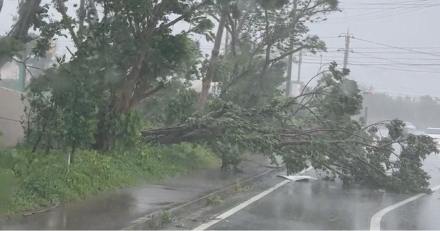 Nhật Bản báo động vì bão lớn: Gió quật đổ xe, sóng đánh dồn dập; đã có người thiệt mạng - Ảnh 1.