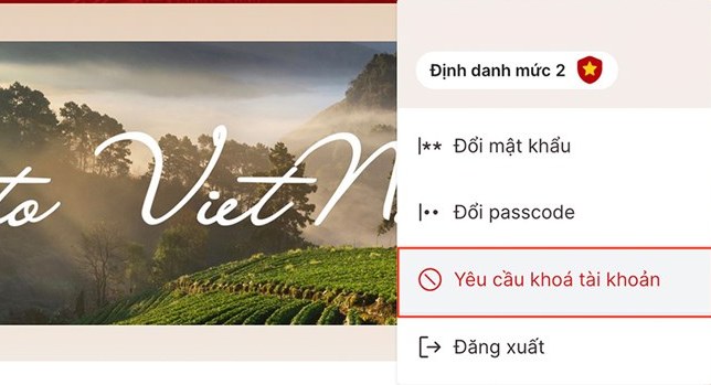 Nếu bị mất điện thoại, đây là các bước khóa tài khoản VNeID để bảo vệ thông tin cá nhân - Ảnh 2.