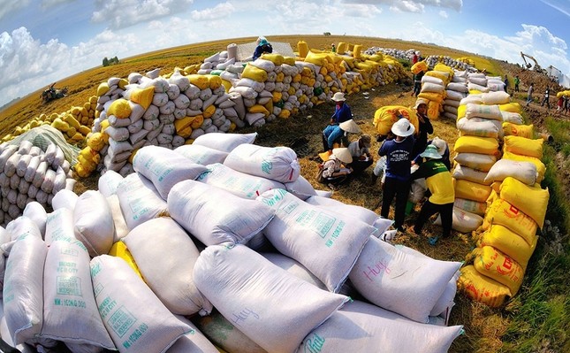 Các nước cấm xuất khẩu gạo, Bộ trưởng Công Thương nói không thừa thế xông lên  - Ảnh 2.