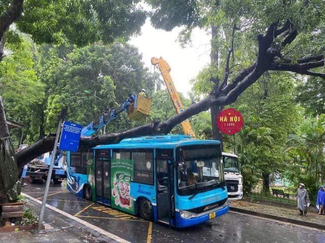 Cây đổ đè bẹp xe buýt đang chạy khiến phố Hà Nội tắc nghẽn, toàn cảnh ảnh hiện trường - Ảnh 3.