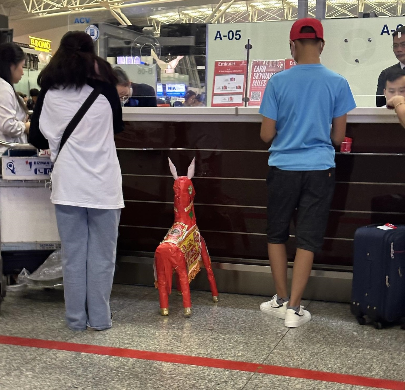 Người đàn ông ngoại ôm ngựa vàng mã về quê: Tôi yêu mọi thứ thuộc về Hà Nội - Ảnh 3.