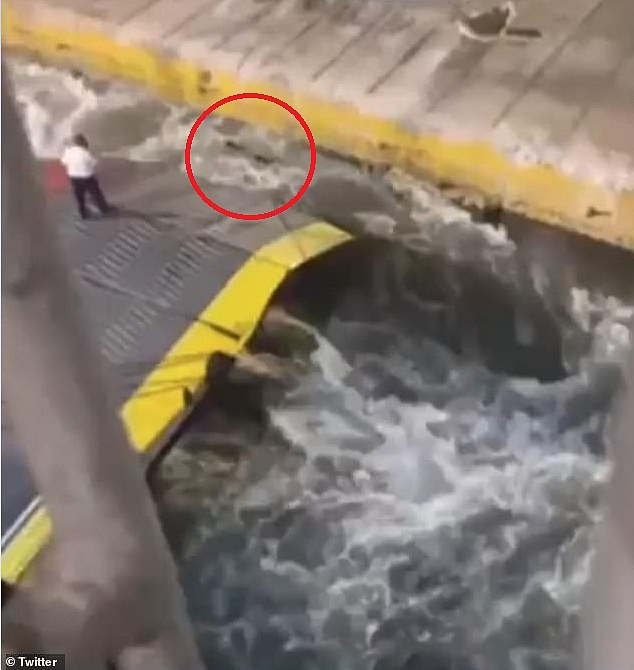 Hành khách đi tàu chết tức tưởi vì bị đẩy xuống biển, video diễn biến sự việc gây phẫn nộ - Ảnh 2.