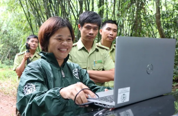 Báo nước ngoài nói về ‘thẻ căn cước’ của voi hoang dã Việt Nam - Ảnh 3.