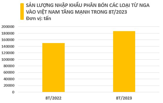 Giá rẻ chưa từng có, một mặt hàng của Nga đang đổ bộ vào Việt Nam trong 8 tháng đầu năm, Nga xuất khẩu đứng đầu thế giới - Ảnh 2.