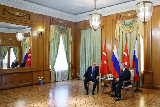 Tổng thống Nga-Thổ Nhĩ Kỳ gặp mặt ở Sochi: Mối quan hệ ấm lại sau thời gian lạnh nhạt - Ảnh 4.