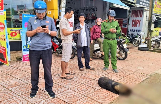 Hai học sinh ở Đắk Nông bị chó lạ tấn công, cắn rách miệng - Ảnh 1.