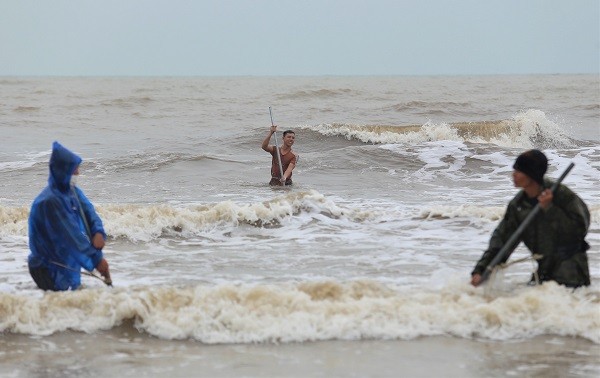 Hàng tấn sò tím dạt vào bờ biển Hà Tĩnh, người dân đổ xô nhặt lộc trời - Ảnh 6.