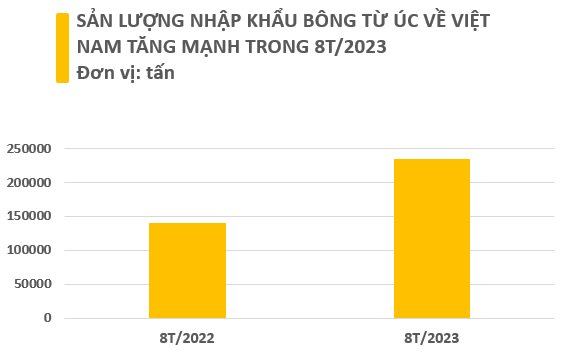 Một loại nông sản từ Úc đang ồ ạt tràn vào Việt Nam với giá rẻ bất ngờ: Chi mạnh tay “gom hàng” trong 8 tháng đầu năm, Việt Nam nhập khẩu đứng thứ 3 thế giới - Ảnh 2.