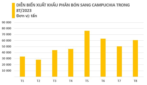 Campuchia đang mạnh tay gom mặt hàng này của Việt Nam: Giá giảm xuống mức kỷ lục, là thứ đang gây sốt trên toàn cầu - Ảnh 2.