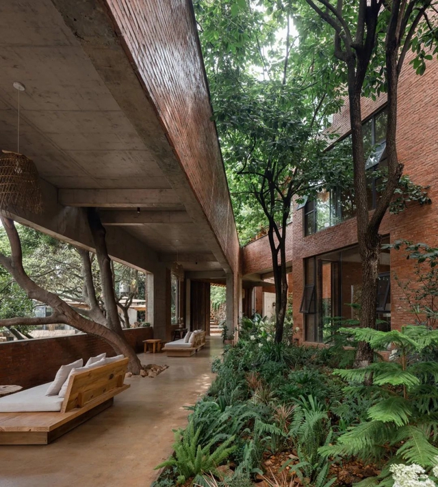 Bỏ cuộc sống ở th&agrave;nh phố, c&ocirc; g&aacute;i d&ugrave;ng tiền tiết kiệm 10 năm x&acirc;y nh&agrave; gần 15 tỷ đồng b&aacute;o hiếu bố mẹ - Ảnh 4.