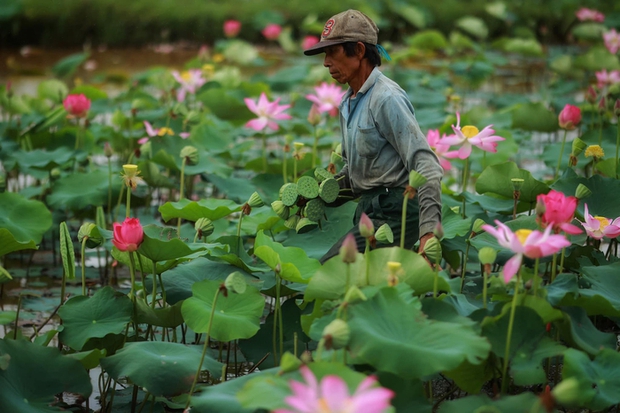 Căn nhà có kiến trúc đặc biệt của đại gia Đức An xây tặng vợ Phan Như Thảo - Ảnh 16.