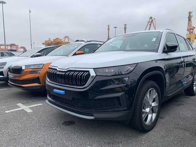 Lộ toàn bộ trang bị Skoda Karoq, Kodiaq tiền tỷ sắp bán tại Việt Nam: Gần ngang xe Nhật, Hàn cùng phân khúc - Ảnh 2.