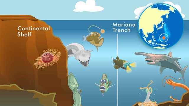 Bí ẩn về hiện tượng rãnh Mariana nuốt chửng 3 tỷ tấn nước biển mỗi năm - Ảnh 4.