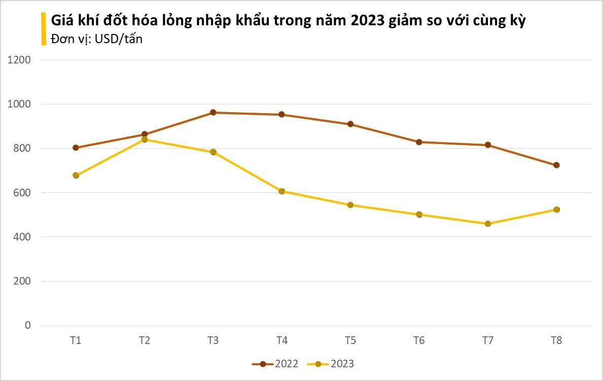 Giá rẻ bất ngờ, một mặt hàng từ Ả Rập Xê Út đang đổ bộ vào Việt Nam hơn 200% trong 8 tháng đầu năm - Ảnh 2.