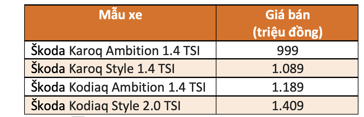 Škoda chính thức có mặt tại Việt Nam ra mắt cặp đôi SUV - Škoda Karoq và Škoda Kodiaq - Ảnh 6.