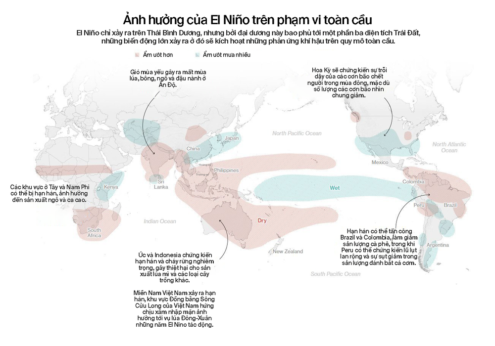 Những bí ẩn của El Niño: Nguồn gốc, lịch sử và hiệu ứng cánh bướm hai bên bờ Thái Bình Dương (Kỳ 2) - Ảnh 19.