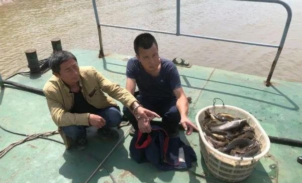 Dùng cá nhỏ làm “mồi câu”, 2 người đàn ông thu về hơn 40 kg cá sông nhưng bị cảnh sát phạt gần 40 triệu đồng: Nguyên nhân ít ai ngờ tới! - Ảnh 1.