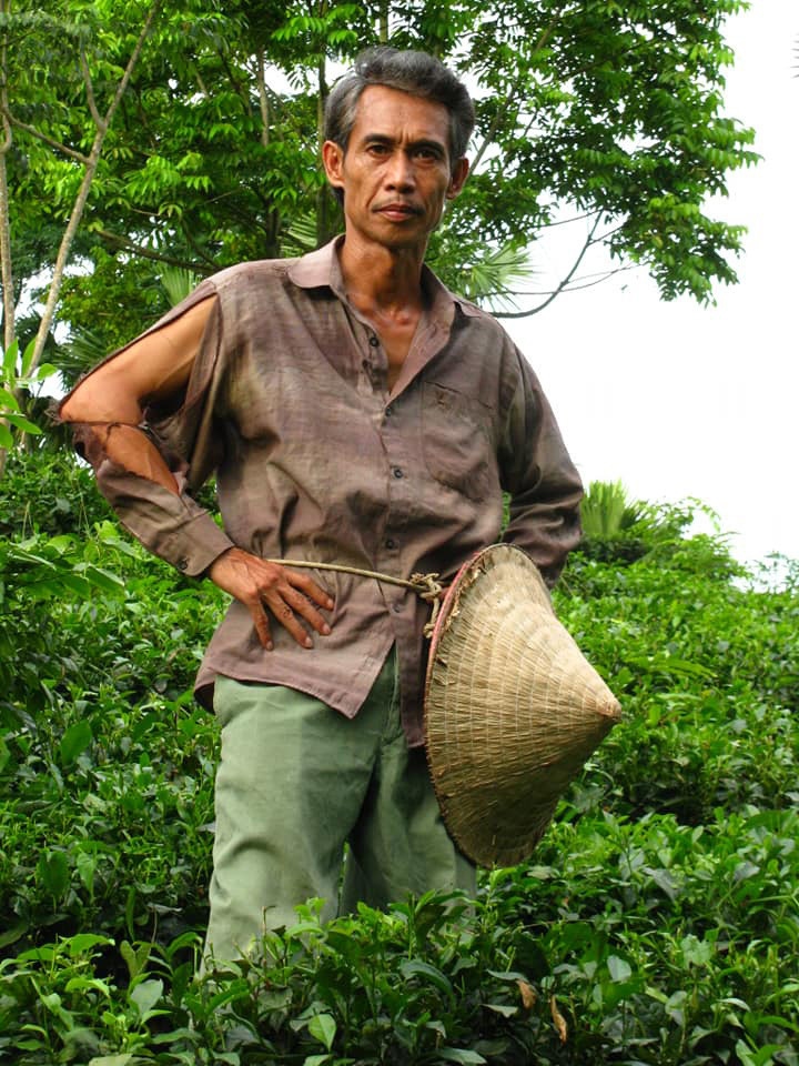 Nam nghệ sĩ khắc khổ nhất màn ảnh Việt: Ngoài đời sống hạnh phúc đáng ngưỡng mộ bên vợ đẹp kém 25 tuổi - Ảnh 3.