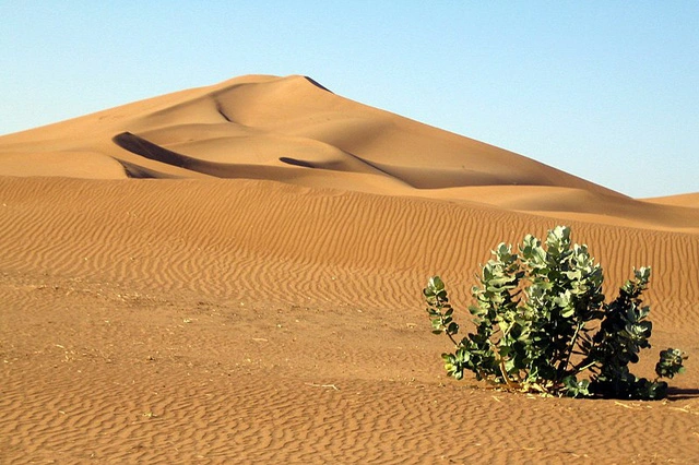 Trung Quốc huy động 3 triệu người mang bảo vật đến chôn giữa sa mạc khô cằn nhất thế giới, sau 30 năm, quay lại nhìn cảnh tượng mà khó tin - Ảnh 3.