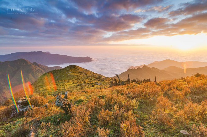 Chi phí đi nóc nhà Yên Bái ngắm mùa hoa chi pâu đẹp lịm tim, đắm chìm giữa biển mây Tà Chì Nhù - Ảnh 2.