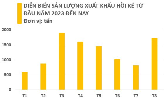 Việt Nam sở hữu viên ngọc quý hiếm được cả Mỹ, Trung Quốc và Ấn Độ săn lùng: Xuất khẩu tăng hơn 100% trong tháng 8, Việt Nam đứng thứ 2 thế giới về sản lượng - Ảnh 2.