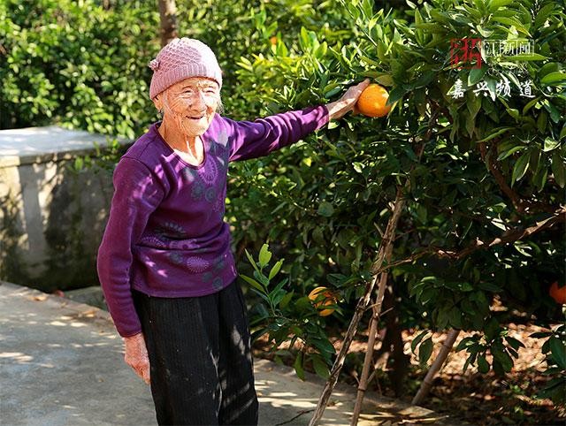 Cụ bà 104 tuổi nhưng ra đồng làm ruộng như người trẻ: Bí quyết không phải tập thể dục mà nhờ 3 thói quen này - Ảnh 3.