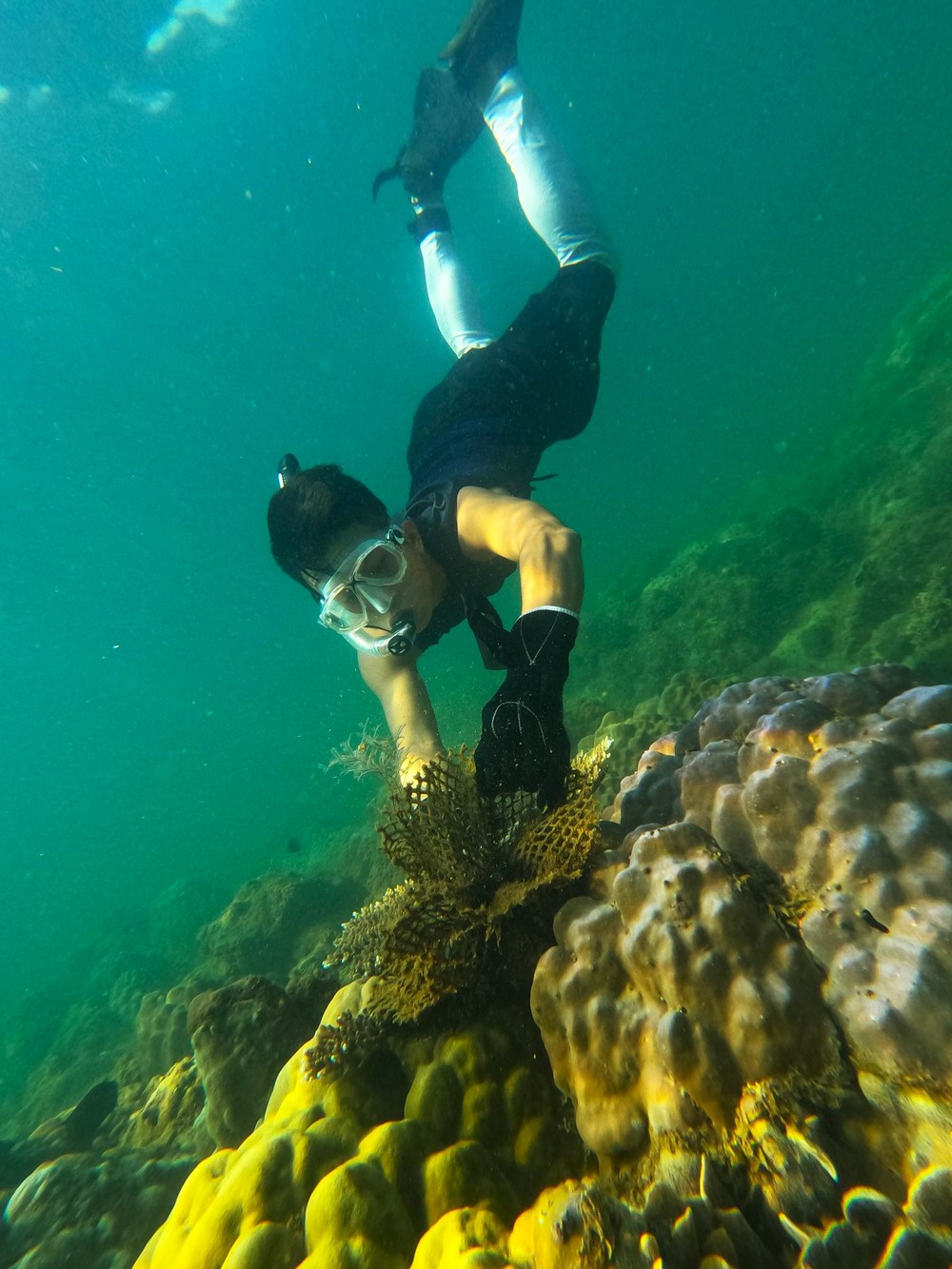 Chuyện những chiếc lưới ma bức tử san hô ở Đà Nẵng và nhóm phượt đáy biển, giải cứu đại dương - Ảnh 14.