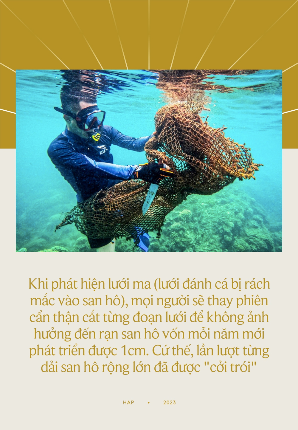 Chuyện những chiếc lưới ma bức tử san hô ở Đà Nẵng và nhóm phượt đáy biển, giải cứu đại dương - Ảnh 10.