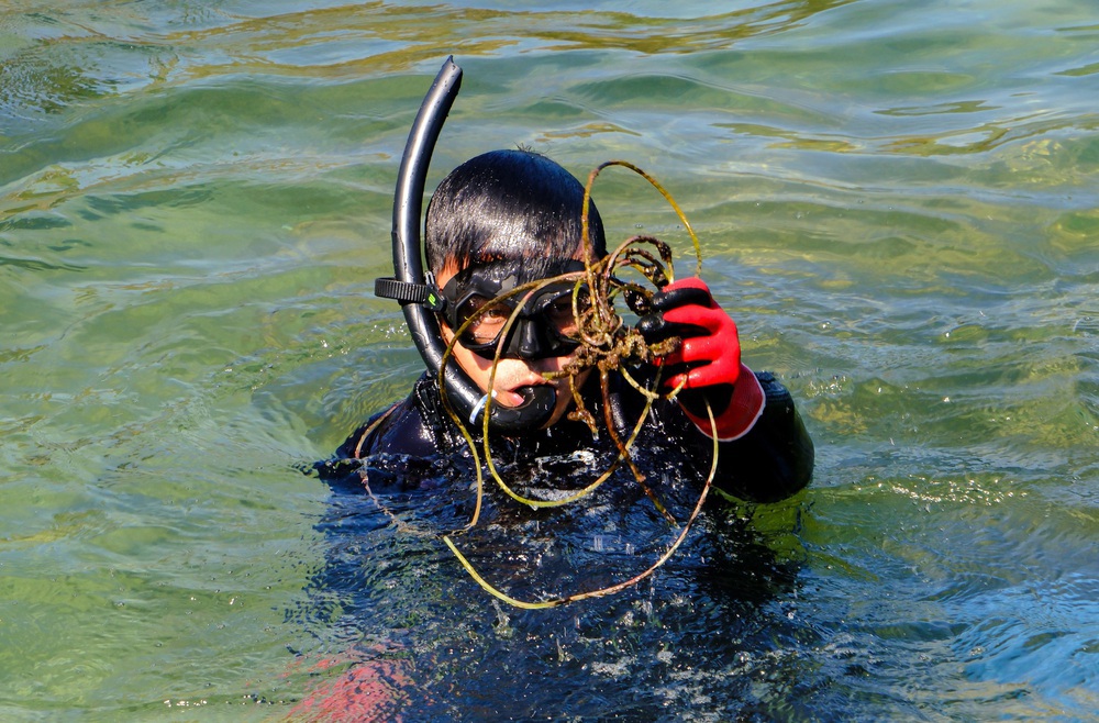 Chuyện những chiếc lưới ma bức tử san hô ở Đà Nẵng và nhóm phượt đáy biển, giải cứu đại dương - Ảnh 23.