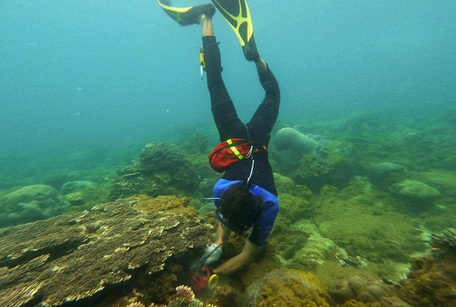 Chuyện những chiếc lưới ma bức tử san hô ở Đà Nẵng và nhóm phượt đáy biển, giải cứu đại dương - Ảnh 21.