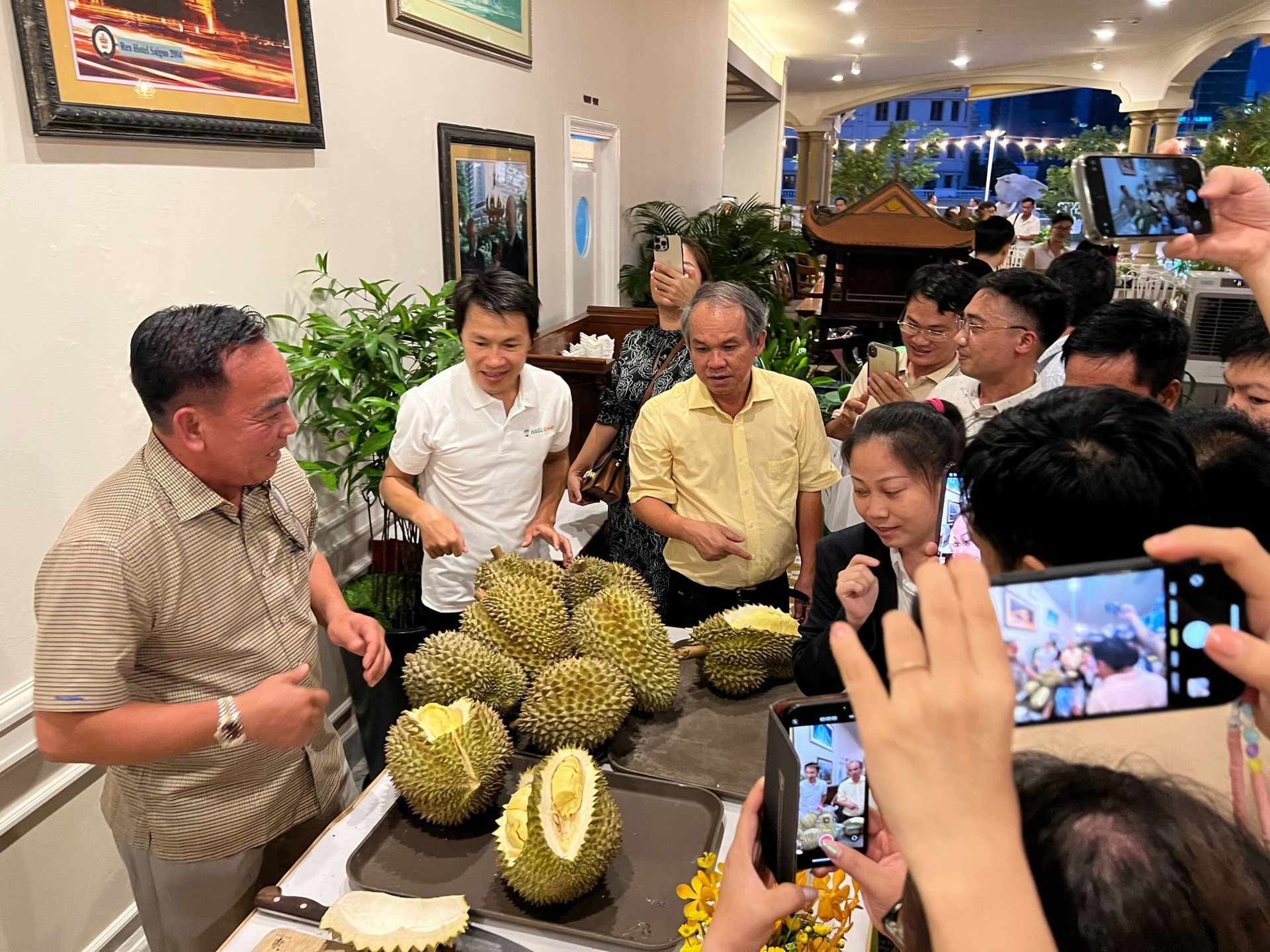 Sầu riêng cực nóng trên thị trường nông sản, Hoàng Anh Gia Lai đã lập công ty chuyên về sầu riêng? - Ảnh 2.