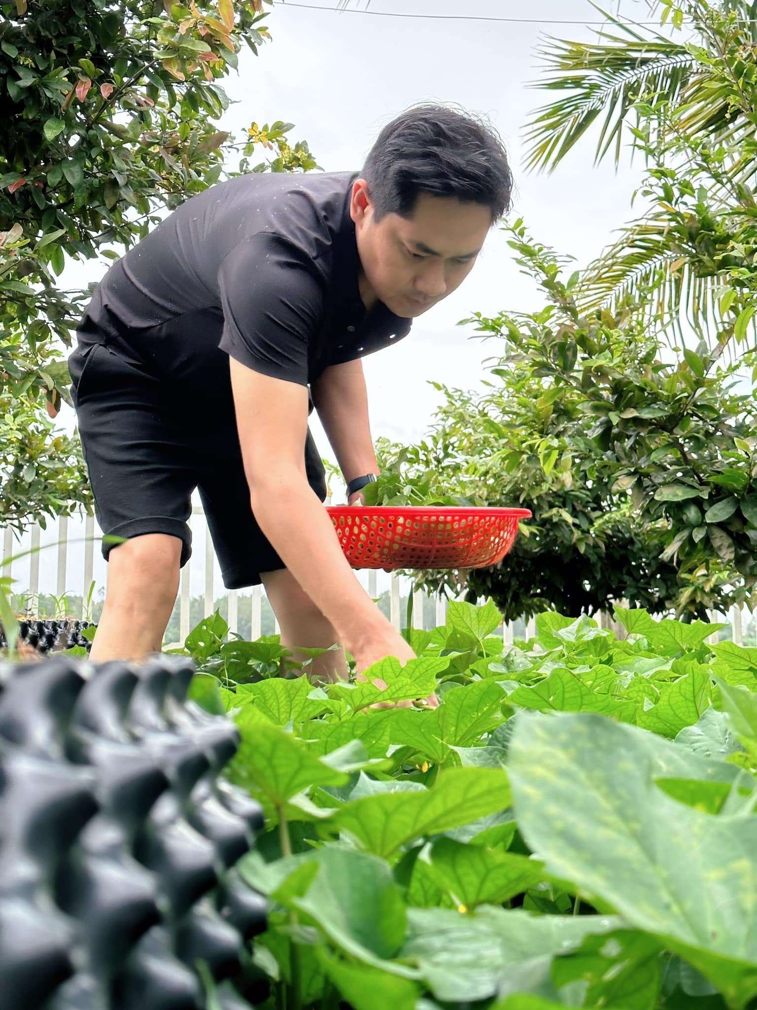 Sao Việt 4/9: Lý Nhã Kỳ thử váy cưới, Kim Tử Long hội ngộ vợ cũ thứ 2 - Ảnh 12.