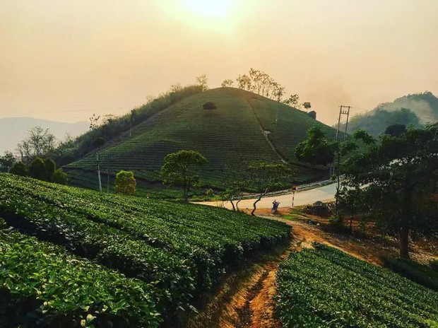 Ngẩn ngơ ngắm nét đẹp tựa cõi mơ ở Suối Giàng, Yên Bái với chi phí chỉ khoảng 2,5 triệu đồng - Ảnh 4.