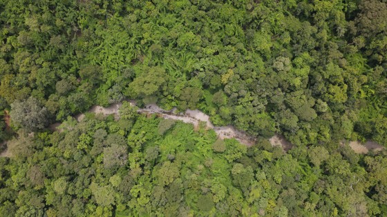 Bắt đầu khảo sát vùng rừng hơn 600ha dự kiến làm hồ thủy lợi Ka Pét - Ảnh 7.